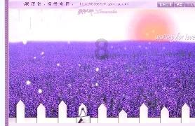 穿运动鞋帆布鞋的女生晚上回家要不要刷鞋？我的看着脏不脏？